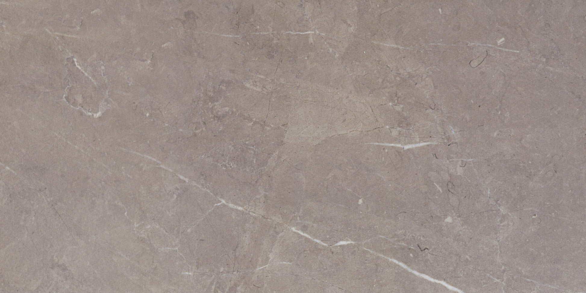 Gris moyen 12x24