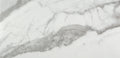 Gris Calacatta 12x24