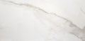 Taupe Calacatta 12x24