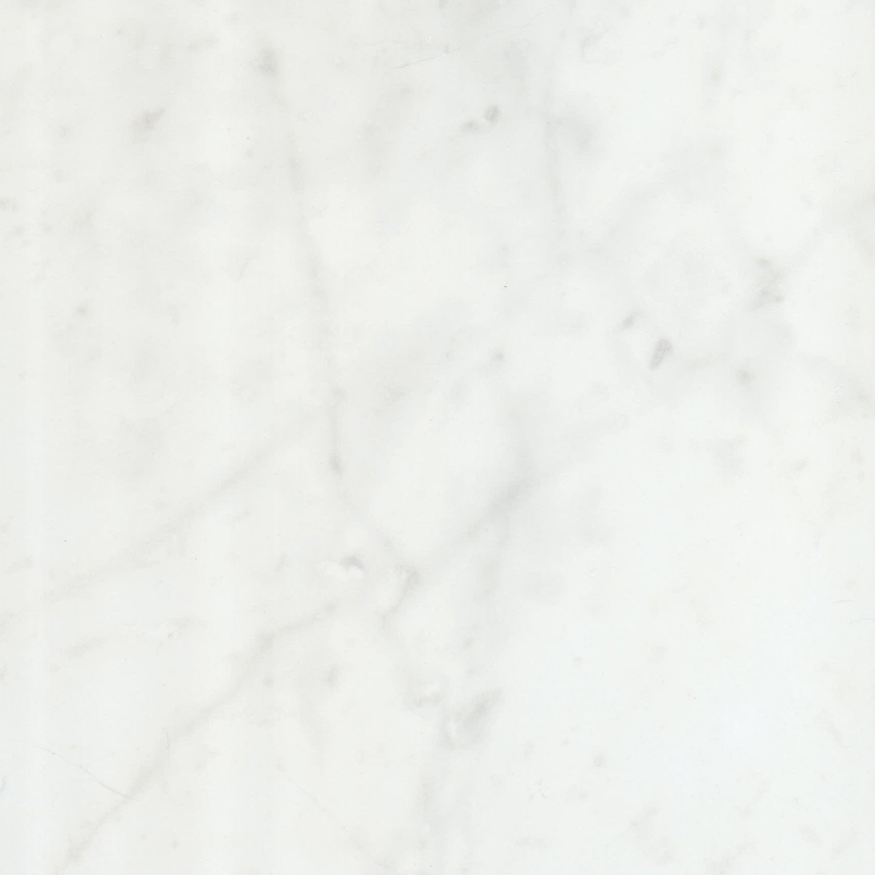 Blanc Carrara 24x24