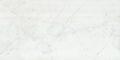 Blanc Carrara 12x24