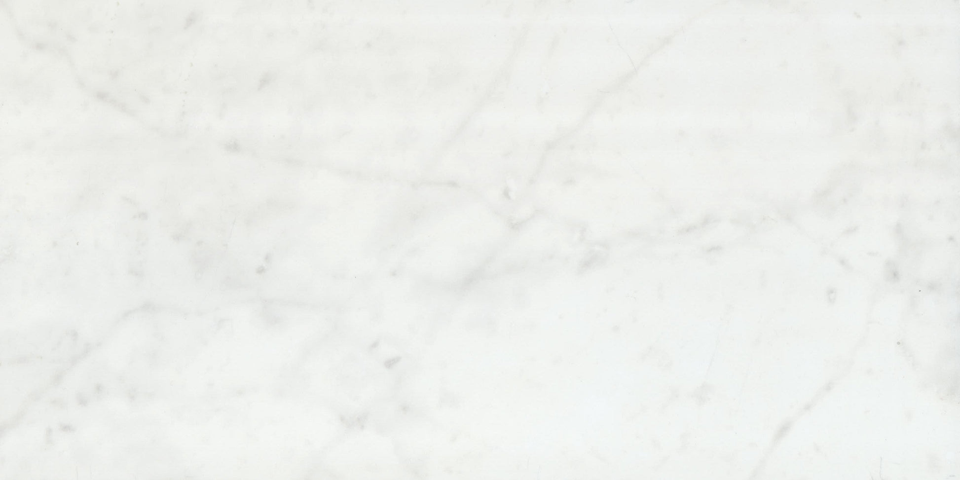 Blanc Carrara 12x24