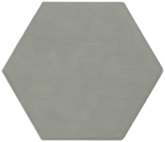 Gris pale hex