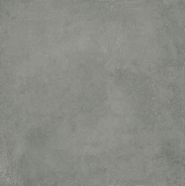 Integra Fine Point Gray Shell Color Integra