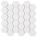 Blanc arctique hex